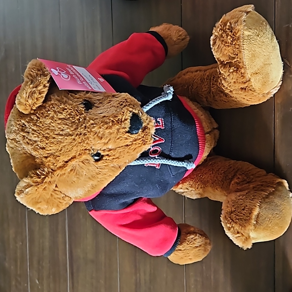 Teddy Bear with hoodie